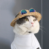 Cat Straw Hat & Sunglasses
