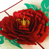 Flower 3D Pop Up Card
